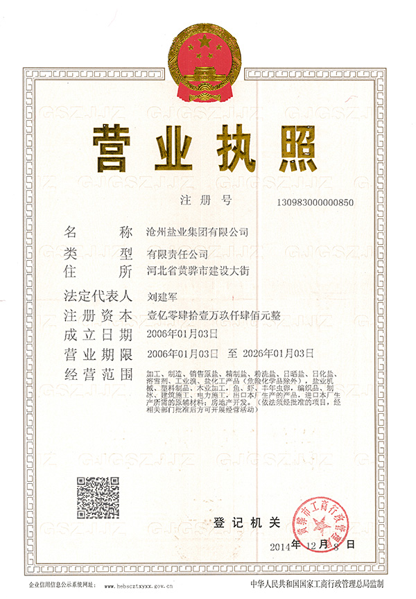 滄鹽集團(tuán)營業(yè)執(zhí)照